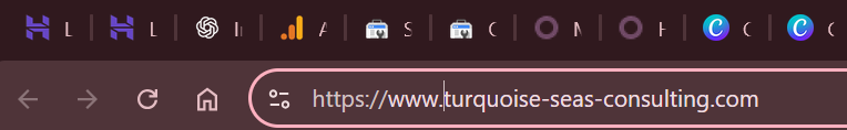 website url